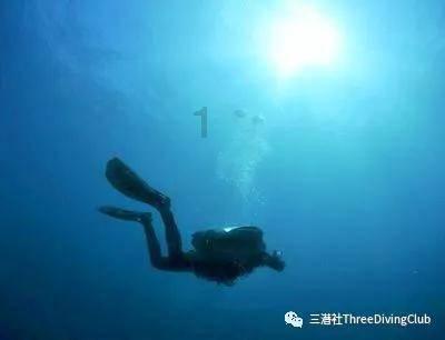 何进之前只是这个杀猪的，当上了大将军后，直接毒杀了当朝太后！游戏画面